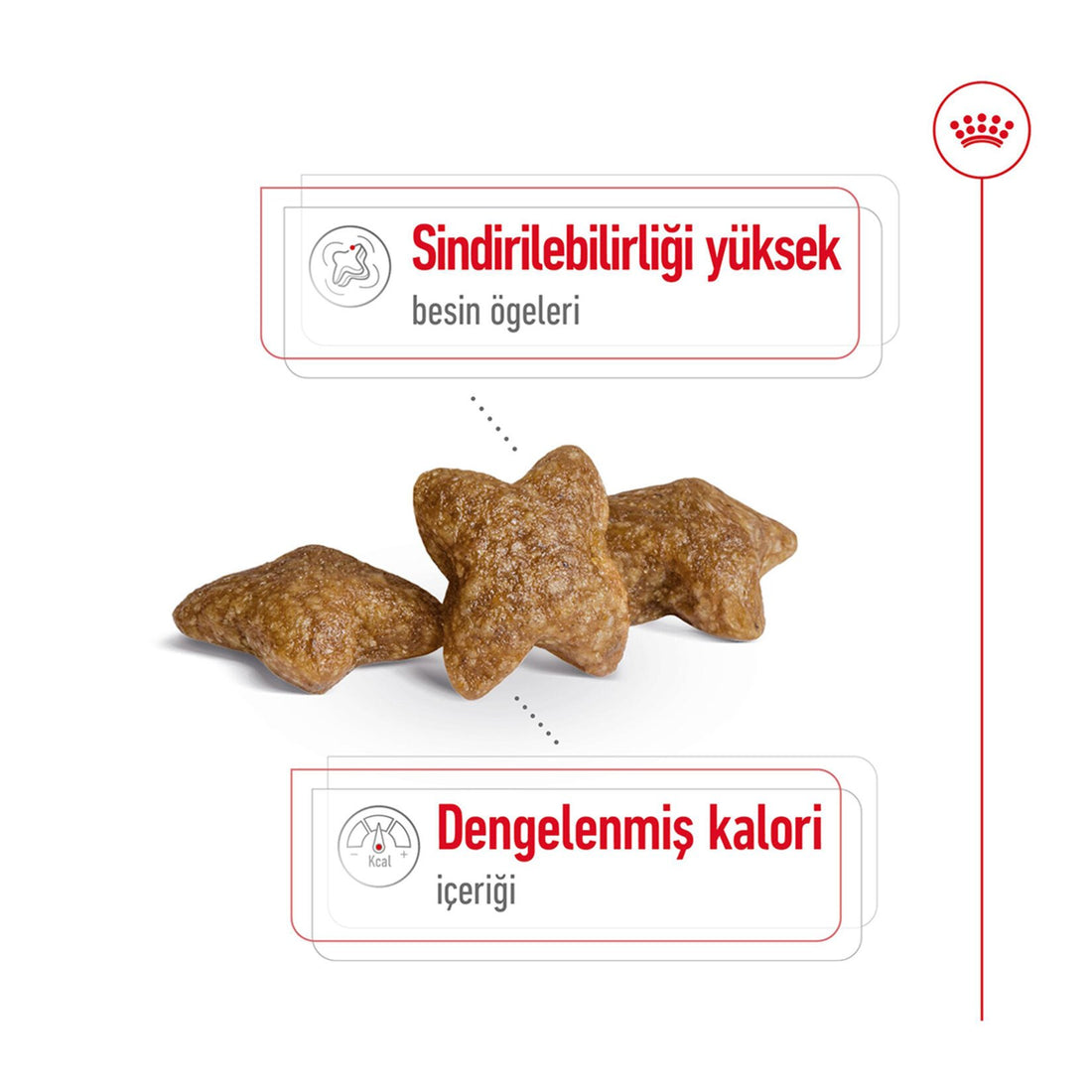 Royal Canin Küçük Irk İçin Kuru Köpek Maması 4 Kg