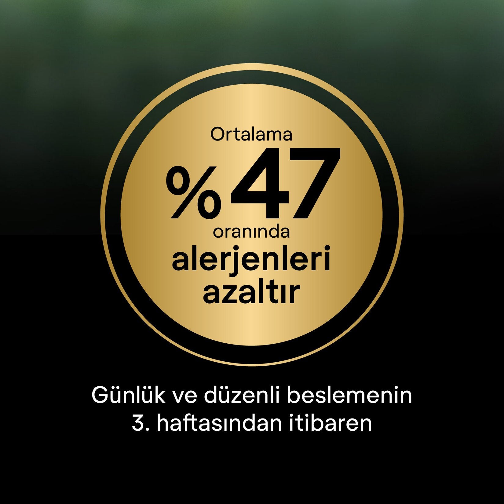 Proplan Liveclear Yavru Kedi Hindili Mama 1.4 Kg