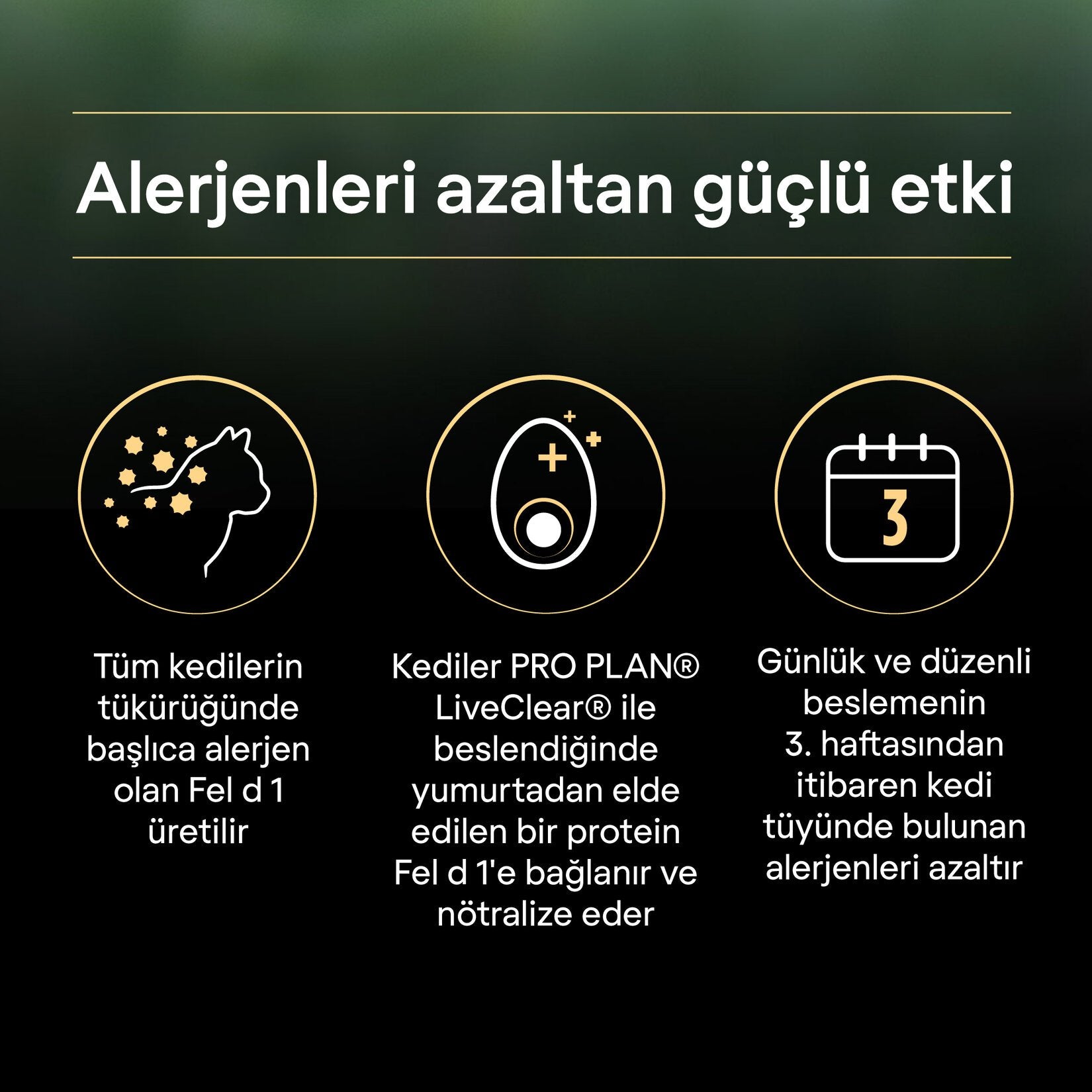 Proplan Liveclear Yavru Kedi Hindili Mama 1.4 Kg