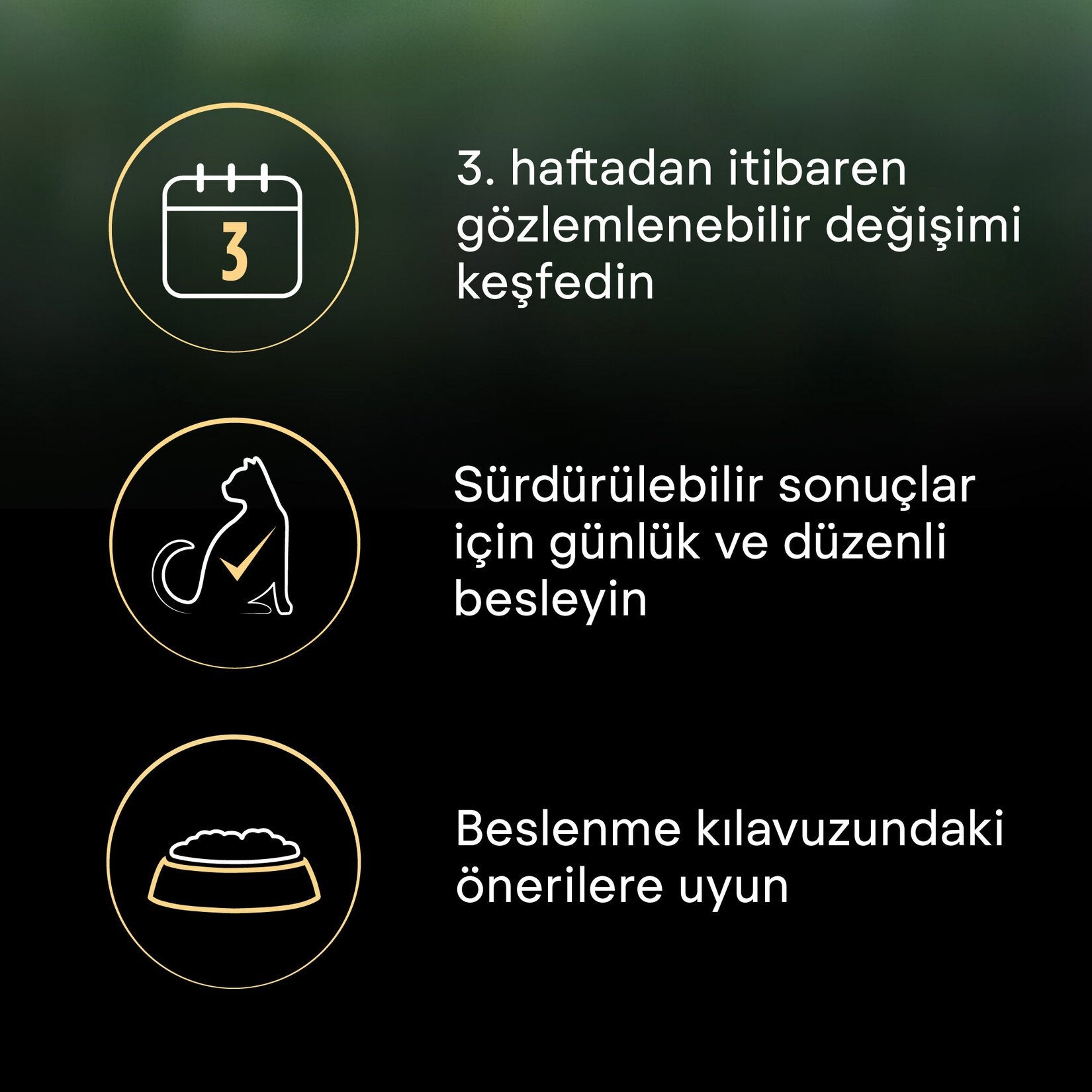 Proplan Liveclear Yavru Kedi Hindili Mama 1.4 Kg