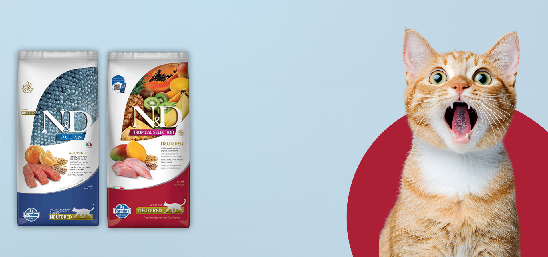 slider image slider_item_By3drq